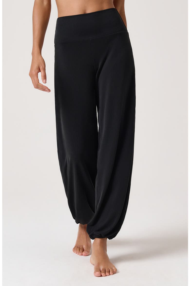 Karma High Waist Jogger Pants, Alternate, color, BLACK
