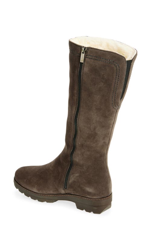 La Canadienne Villa Waterproof Faux Shearling Lined Tall Boot In Brown
