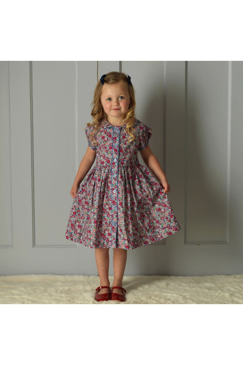 English Garden Button-Front Dress, Alternate, color, Blue