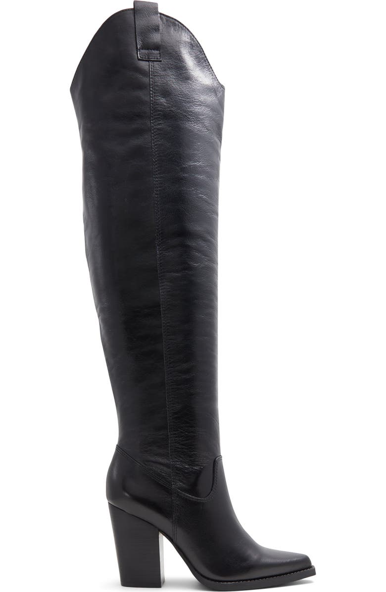 ALDO Beatrine Pointed Toe Over the Knee Boot, Alternate, color,