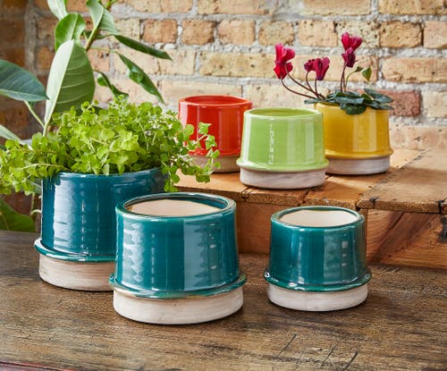 Tag Radius Small Citron Green Glazed Stoneware Planter In Green