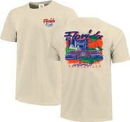 IMAGE ONE Men's Image One  Natural Florida Gators Comfort Colors Hand-Drawn Campus Stack T-Shirt