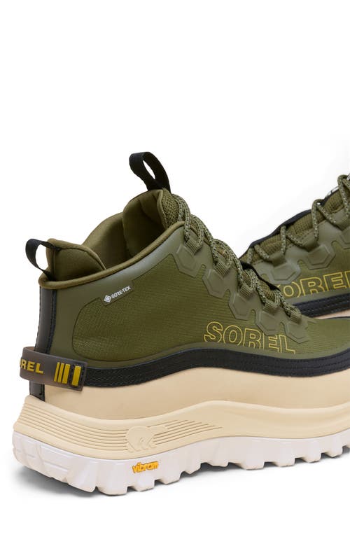Sorel Callsign Horizon™ Mid Gtx Gore-tex® Waterproof Sneaker In Green