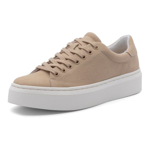 Shop Abeo Jumpstreet Sneaker In Sand Canvas - Metatarsal