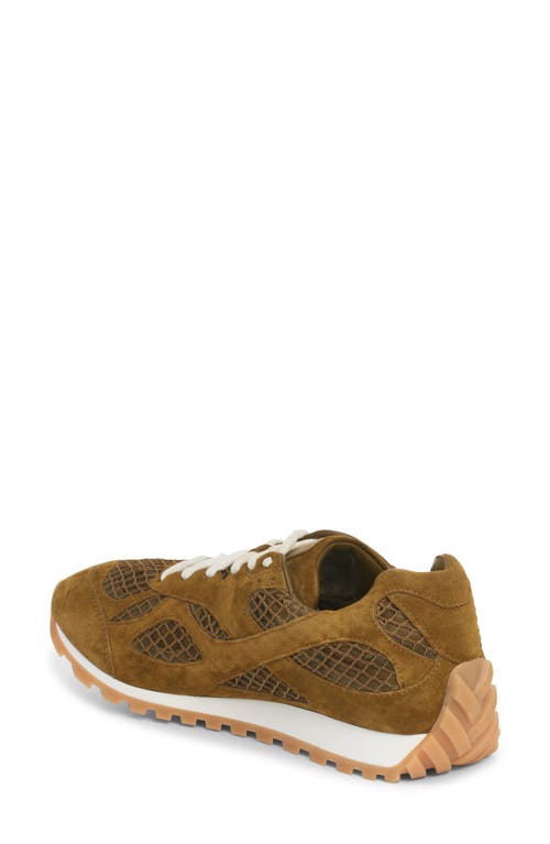 Bottega Veneta Orbit Low Top Sneaker In Multi