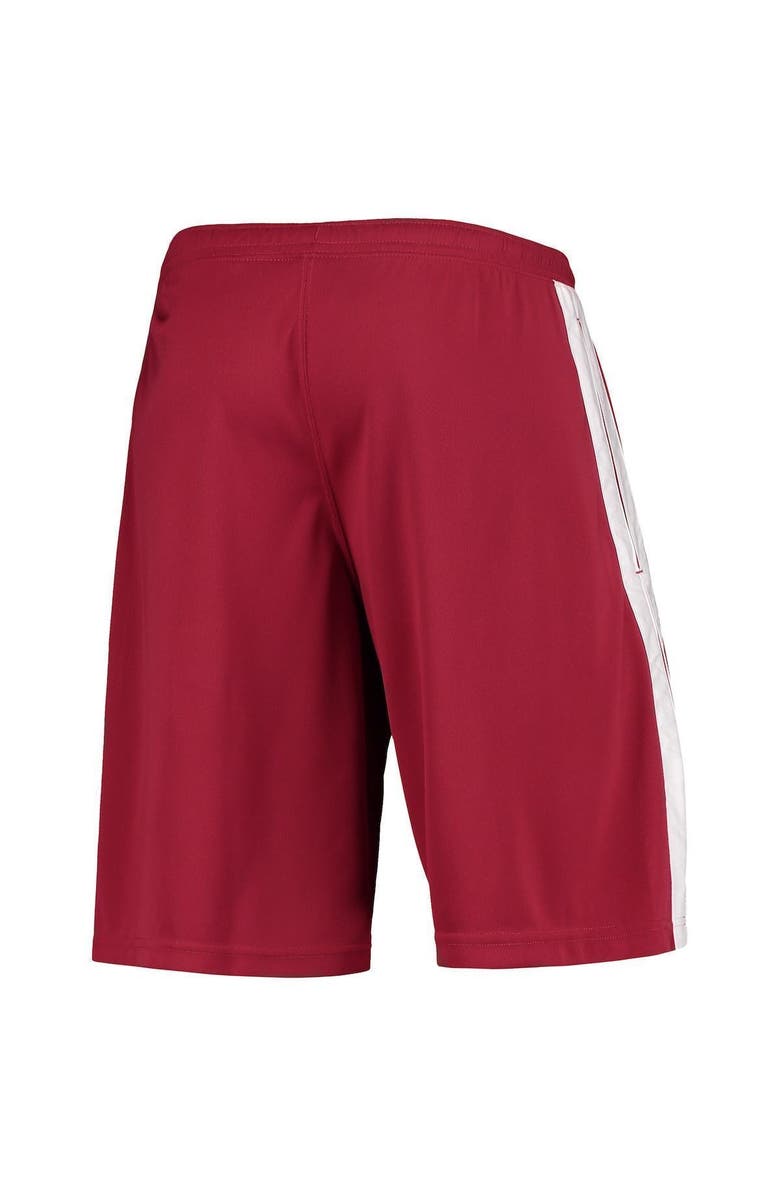 Champion Men's Champion Cardinal Stanford Cardinal Side Stripe Shorts, Alternate, color, 