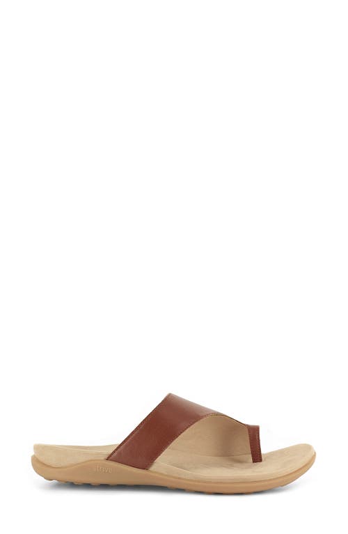 Strive Capri Iii Toe Loop Sandal In Brown