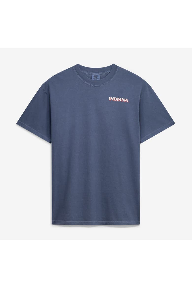 Men's  Navy Indiana Hoosiers Comfort Colors Team Statue T-Shirt, Alternate, color, Navy