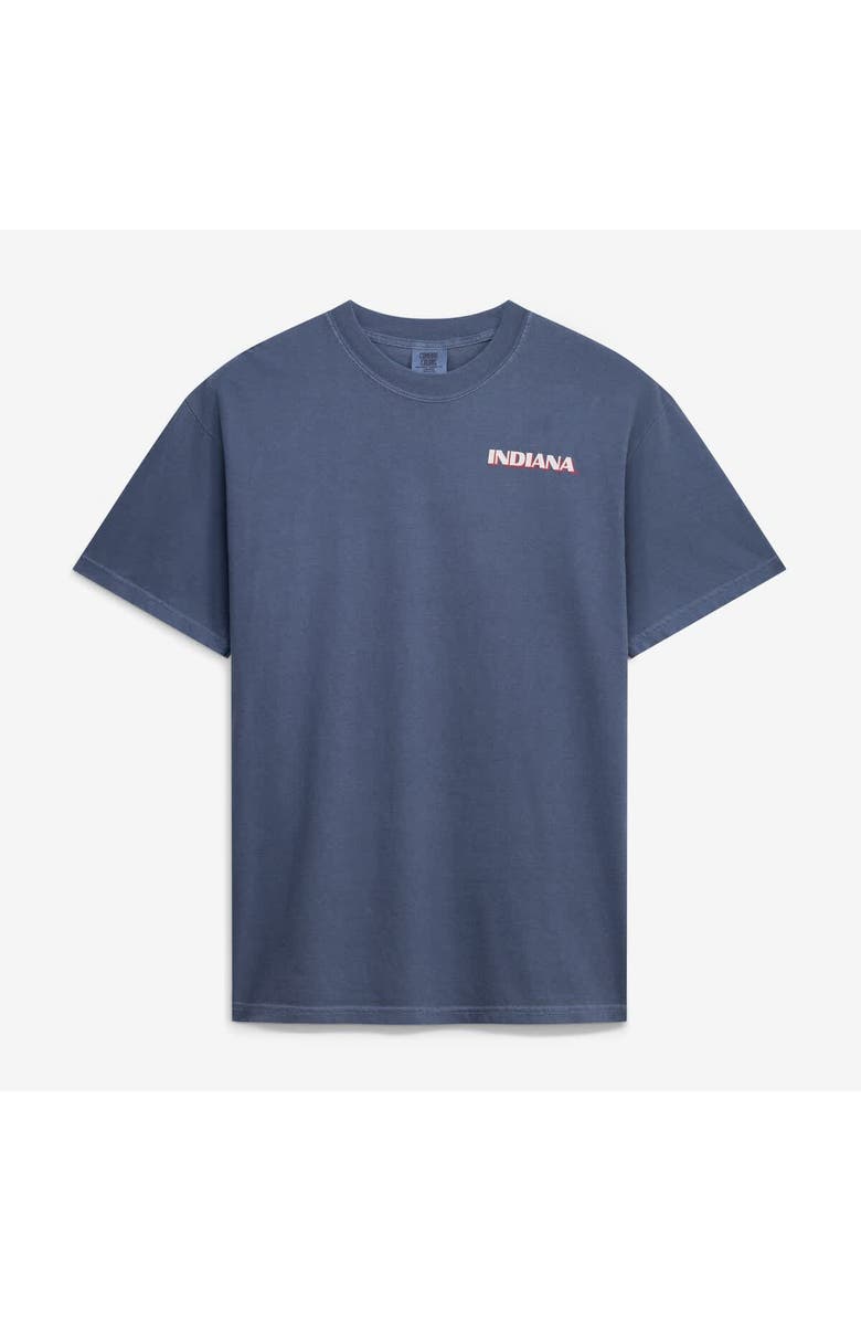 IMAGE ONE Men's Navy Indiana Hoosiers Comfort Colors Team Statue T-Shirt, Alternate, color, Navy
