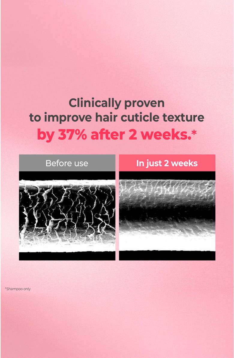 KUNDAL Protein Bonding Care Shampoo Violet Muguet 2 Pack, Alternate, color, Pink