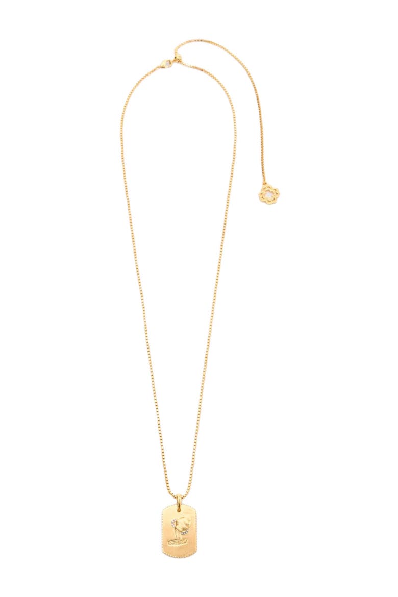 Zodiac sign plaque necklace, Main, color, Aquarius