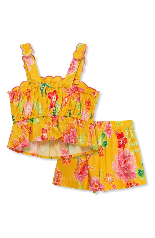 PEEK AREN'T YOU CURIOUS PEEK AREN'T YOU CURIOUS KIDS' PEPLUM TANK & SHORTS SET