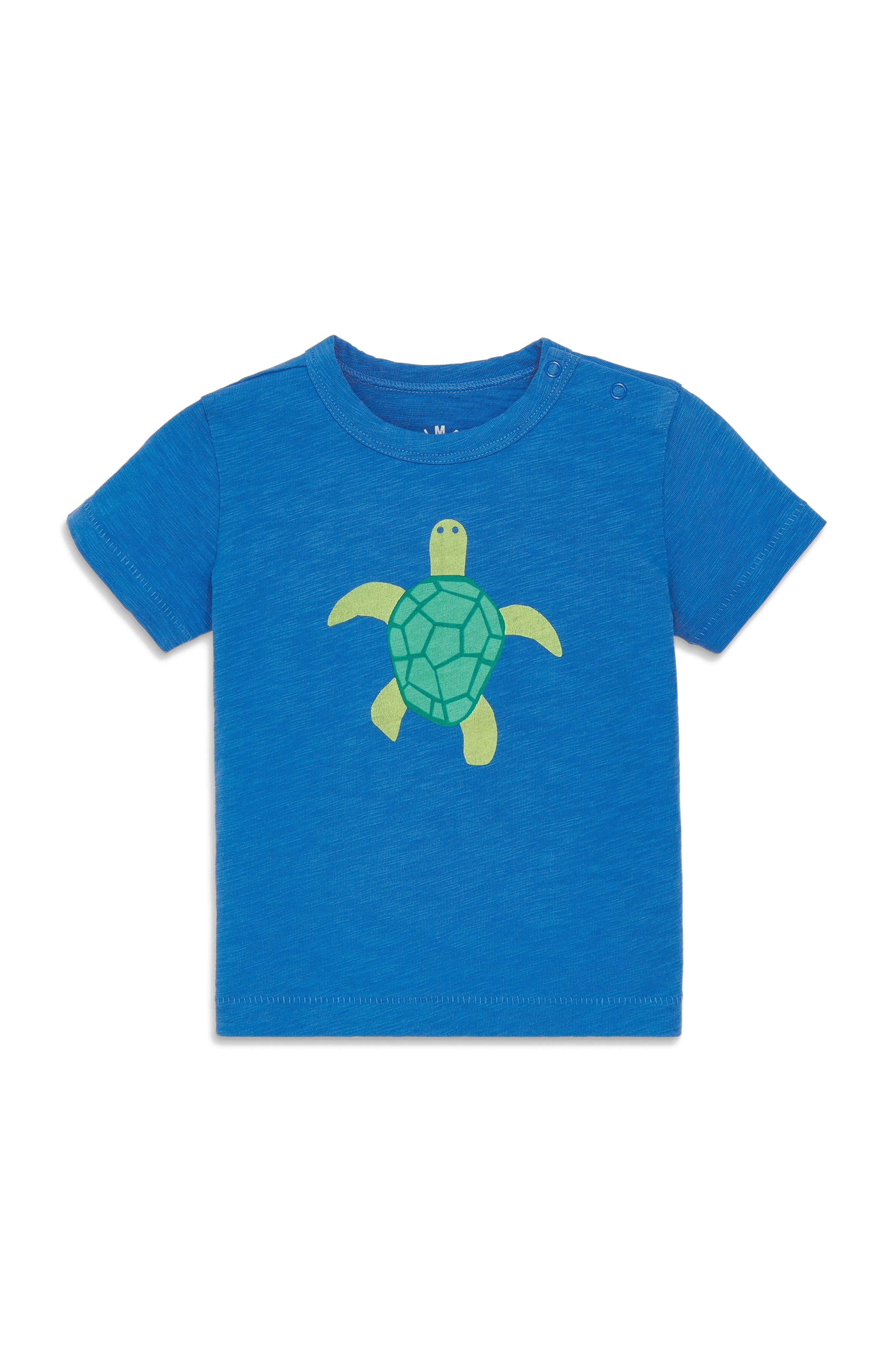 selected Blueberry Sea Turtle