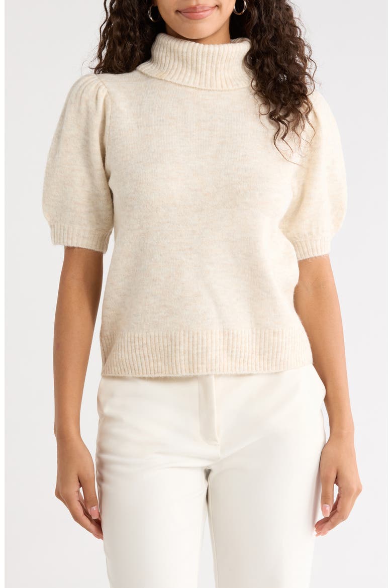 Turtleneck Short Sleeve Sweater, Main, color, MALTED