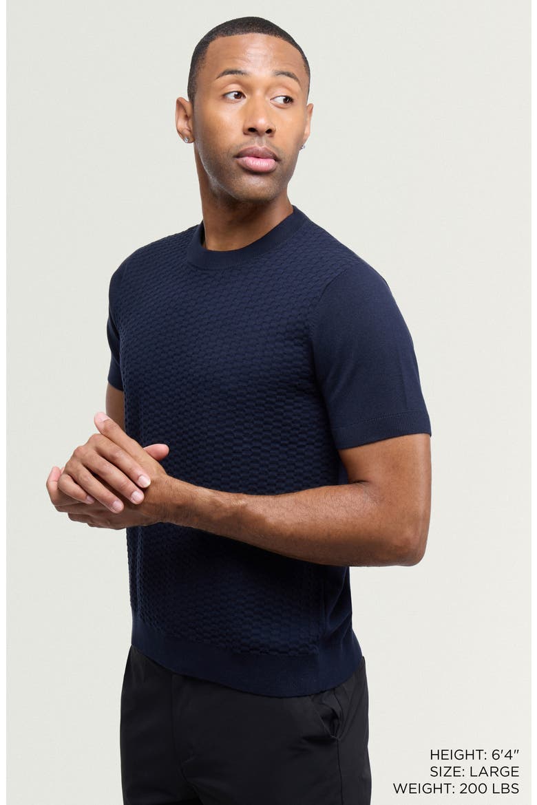 Check Short Sleeve Sweater, Alternate, color, NAVY