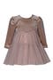 Long Sleeve Velvet & Mesh Tiered Party Dress