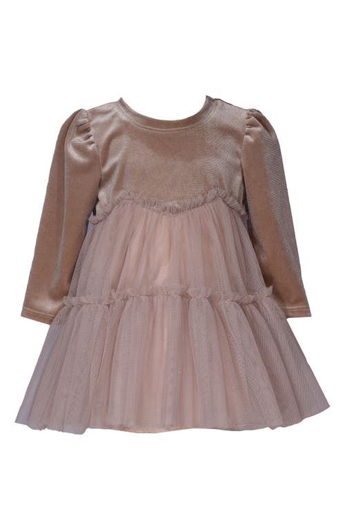 Iris & Ivy Long Sleeve Velvet & Mesh Tiered Party Dress In Brown