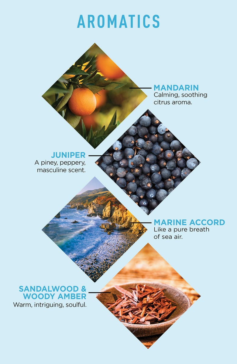 Jack Black Big Sir Refreshing Body Lotion, Alternate, color, 