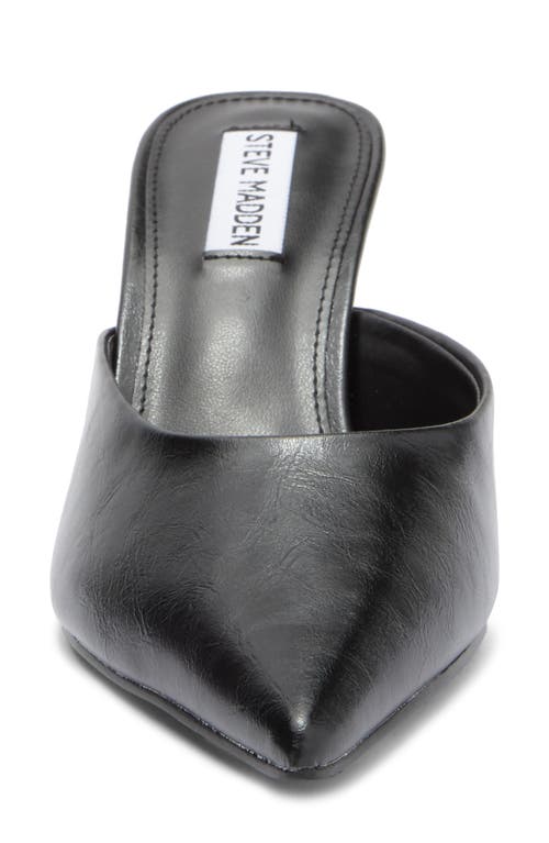 STEVE MADDEN STEVE MADDEN EMMIE POINTED TOE MULE