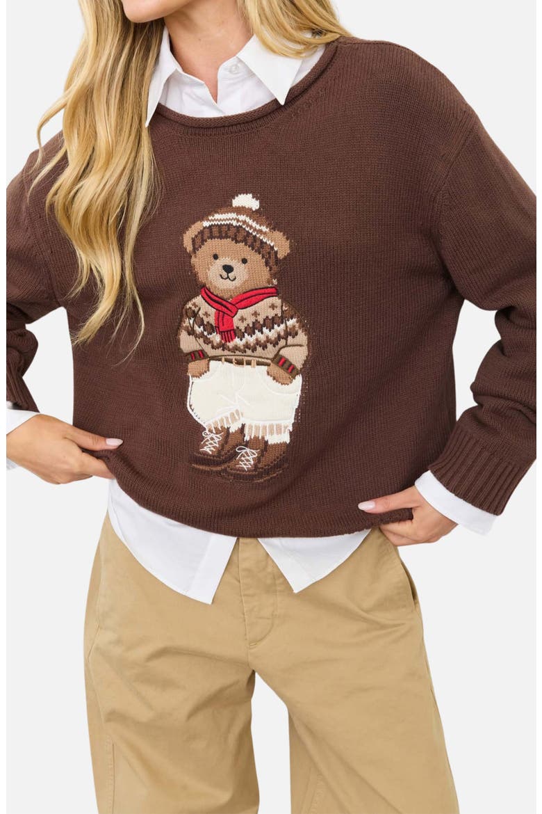 Teddy Bear Cotton Blend Sweater, Alternate, color, BROWN MULTI