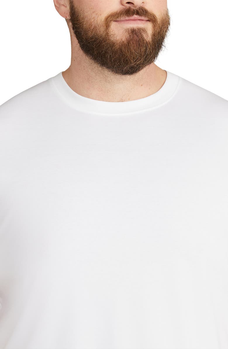 Johnny Bigg Modern Fit Organic Cotton T-Shirt, Alternate, color, 