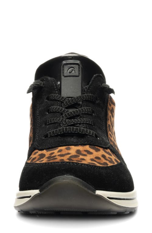 Ara Ovation Sneaker In Animal Print
