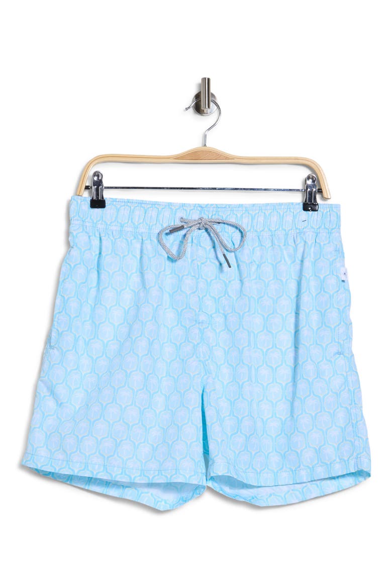 Ditzy Palm Volley Swim Trunks, Main, color, AQUA