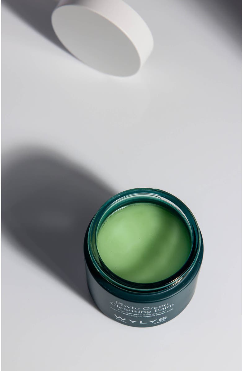WYLYS Phyto Green Cleansing Balm & Sage Verte Makeup Bag, Alternate, color, Green