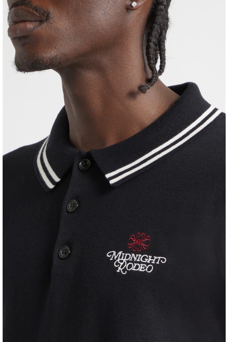 Signature Logo Embroidered Polo Sweater, Alternate, color, BLACK