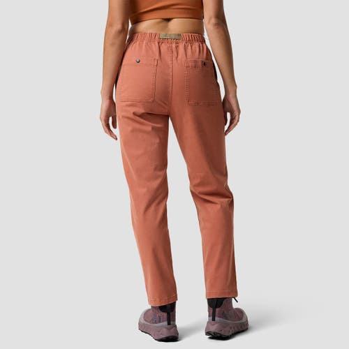 Backcountry Venture Daily Pant In Brown