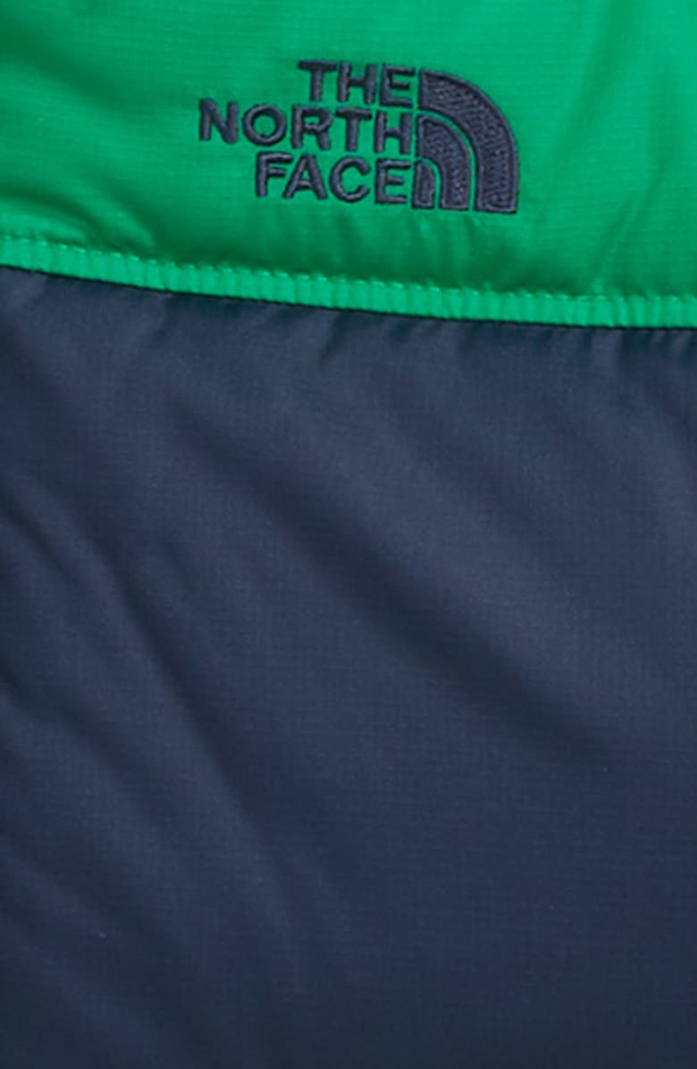 The North Face Moondoggy 2.0 Water Repellent Down Jacket, Alternate, color, 