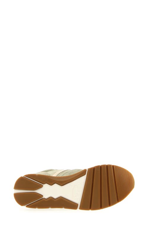 Voile Blanche Julia Sneaker In Pale Sage
