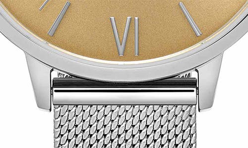 Vincero Eros Mesh Strap Watch, 38mm In Bronze/silver
