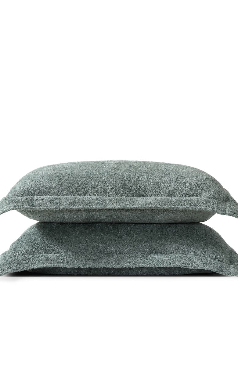 Sunday Citizen Cloud Silque Set of 2 Shams, Alternate, color, Slate Grey