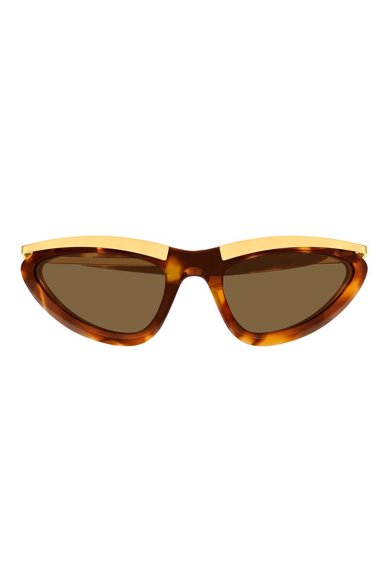 BV1477S Cat Eye Sunglasses, Main, color, HAVANA