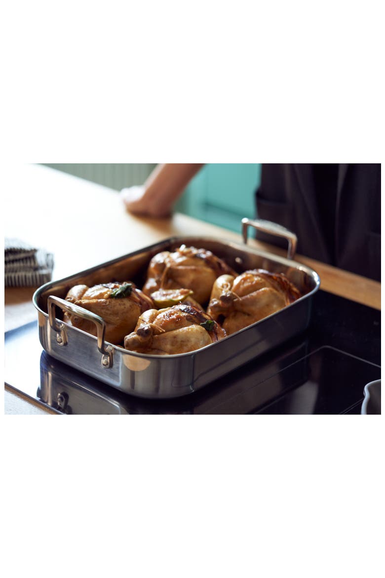 Classic Rectangular Roasting Pan & Rack, Alternate, color, SILVER