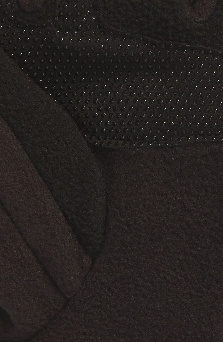 The North Face 'Denali' E-Tip Gloves, Alternate, color, 