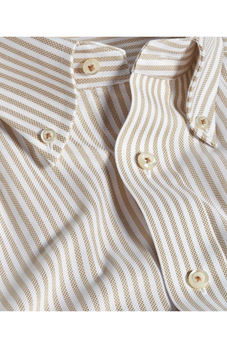 David Donahue Trim Fit Stripe Royal Oxford Dress Shirt, Alternate, color,