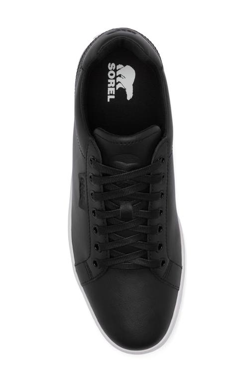 Sorel Cyprus™ Wp Sneaker In Multi