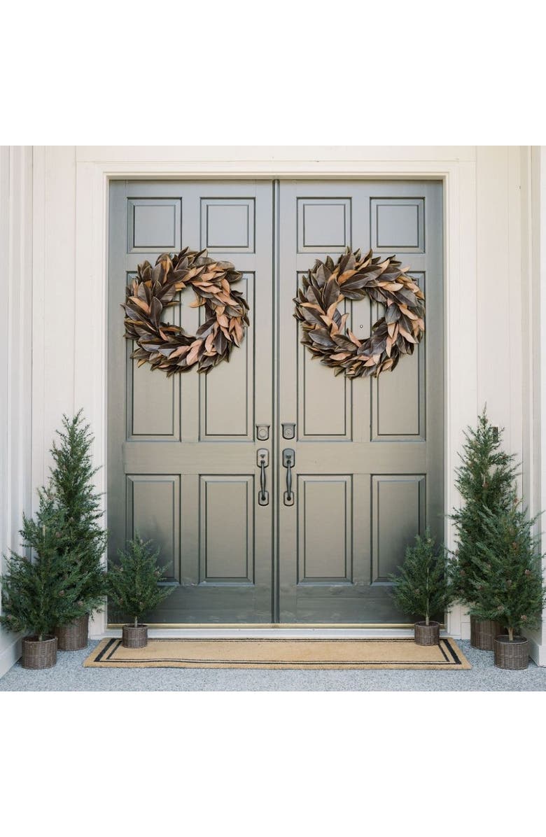 CG Hunter 2' Pine Tree, Alternate, color, Green