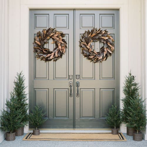 Cg Hunter 2' Pine Tree In Green