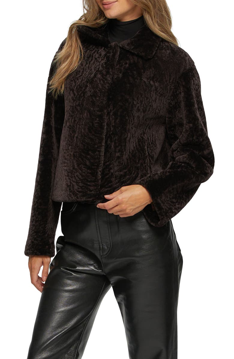 GORSKI Textured Genuine Shearling Short Jacket, Alternate, color, Brown