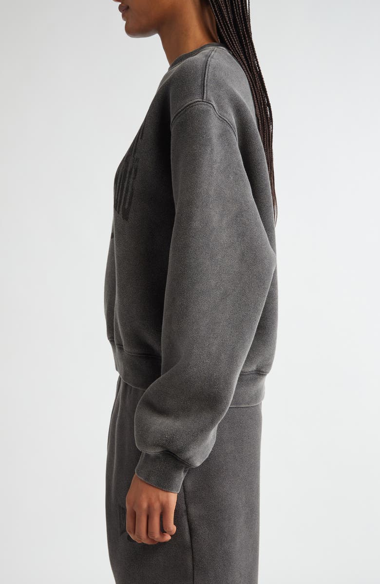 Alexander Wang Logo Graphic Crewneck Sweatshirt, Alternate, color,