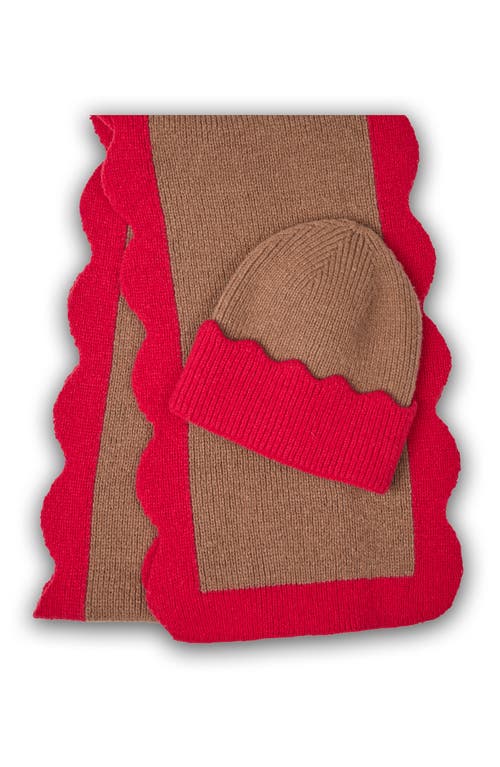 Saachi Scallop Trim Knit Scarf In Brown