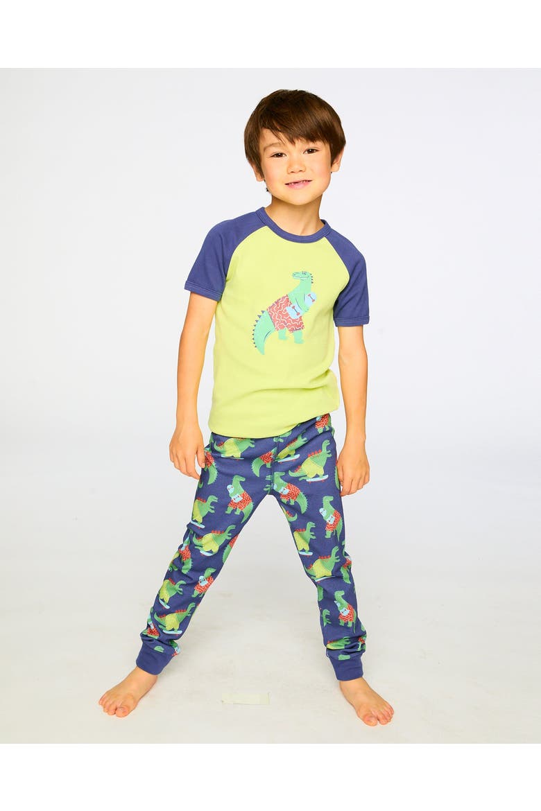Organic Cotton Dino Print Two-Piece Pyjama Set, Alternate, color, Blue Dino Print