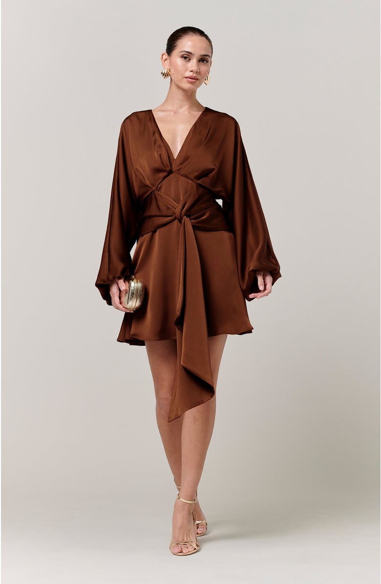 SAVEL Irena Mini Dress, Main, color, Chocolate