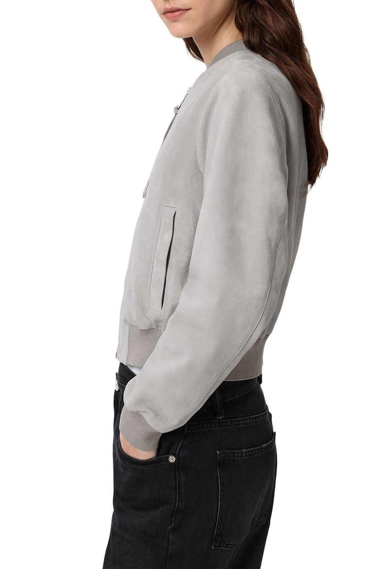 Orten Suede Bomber Jacket, Alternate, color, LIGHT GREY