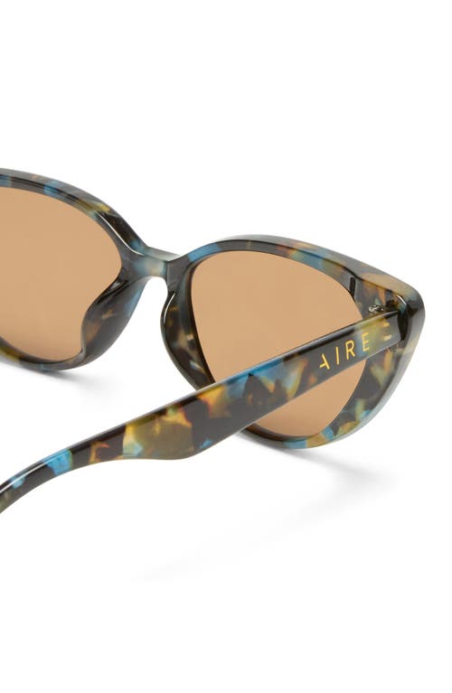 Aire Amalthea 55mm Cat Eye Sunglasses In Galaxy Tort/brown Mono