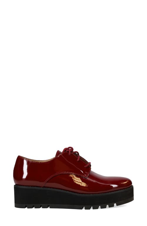 Eileen Fisher Eddy Derby In Burgundy