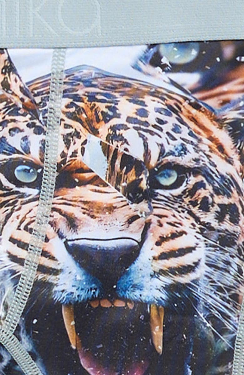 Ethika Kids' Shatter Cat Boxer Briefs, Alternate, color, 